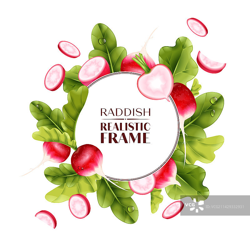 逼真写实风的萝卜画框图片素材