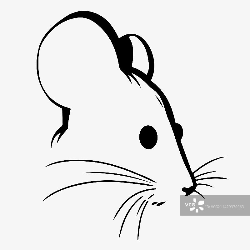 白色背景上的黑色线性风格老鼠图片素材