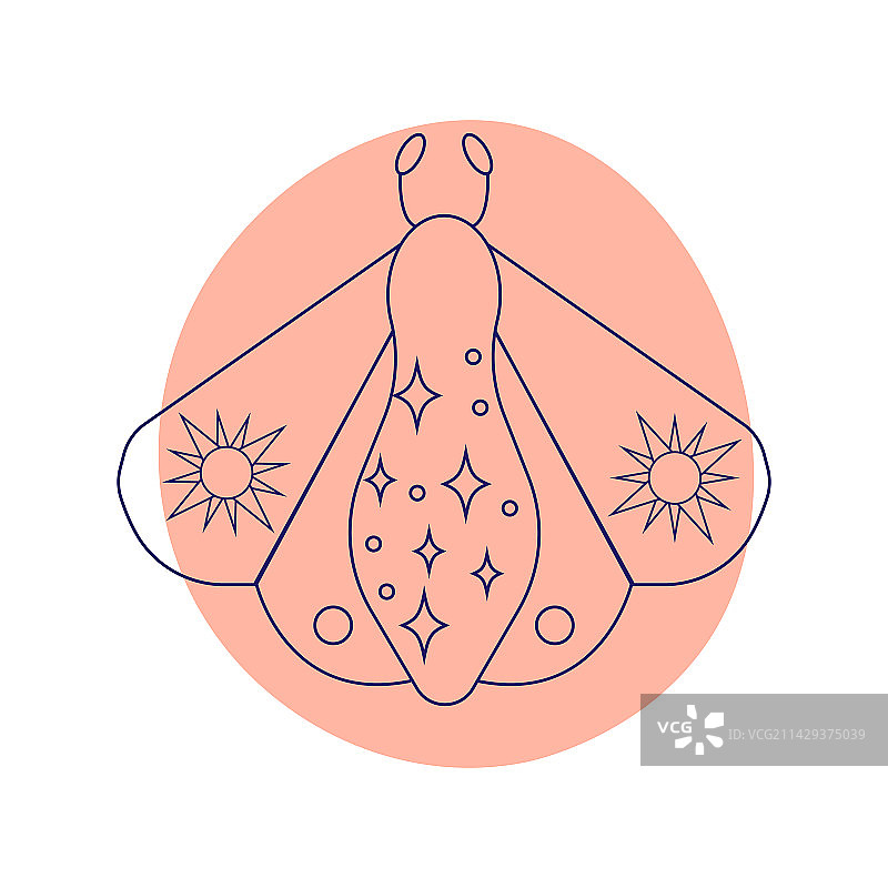手绘线性飞蛾图案图片素材