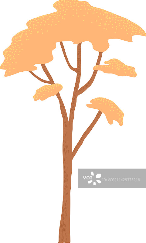 落叶和常绿森林植物图片素材