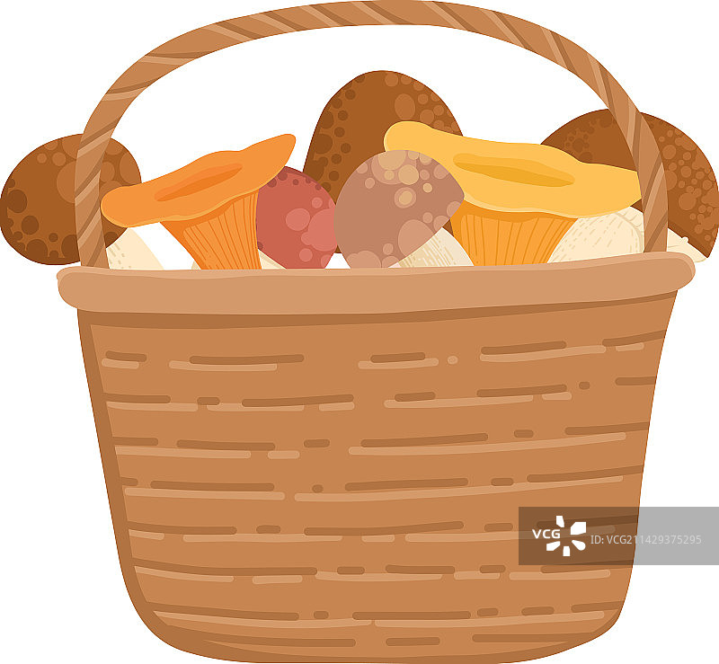 亚洲香菇或森林中的原生真菌图片素材