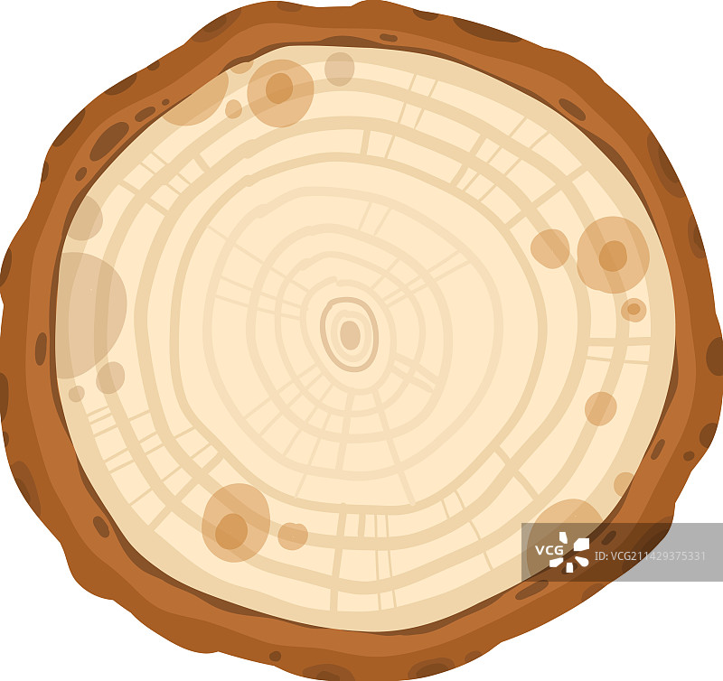 落叶和常绿森林植物图片素材