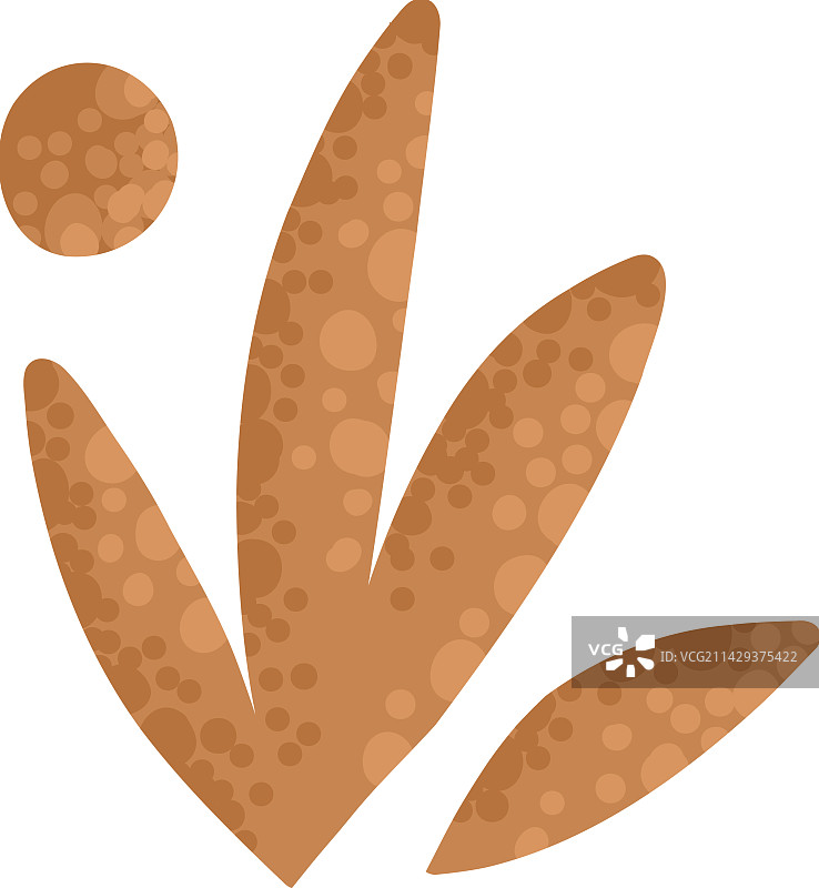 干燥的秋季橡树、白蜡树和桦树叶图片素材