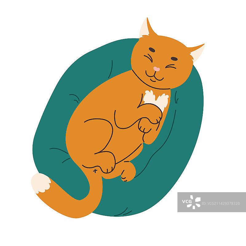 躺在绿色枕头上的可爱姜黄色猫咪图片素材