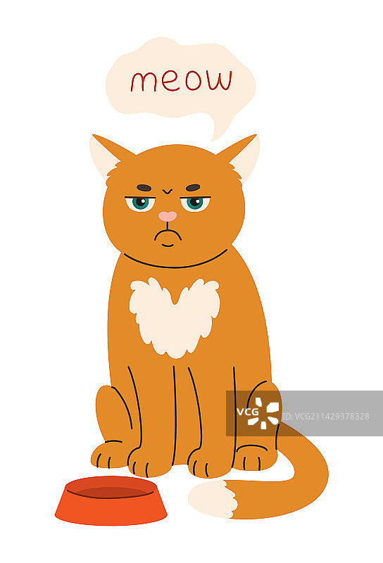 可爱的悲伤饥饿姜猫坐在空地旁图片素材