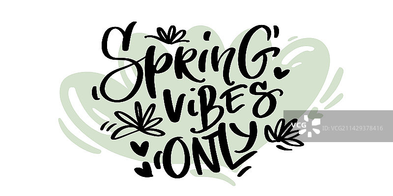 浅绿色背景上的spring vibes only手写字图片素材