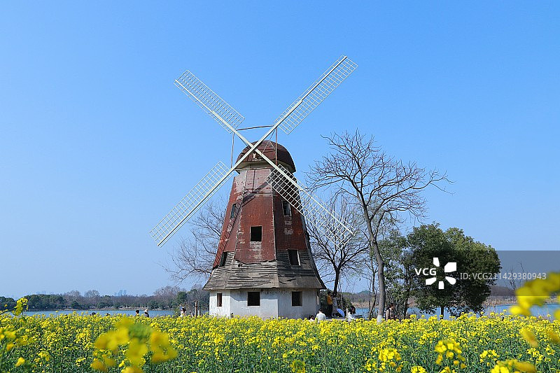 春天里的风车图片素材