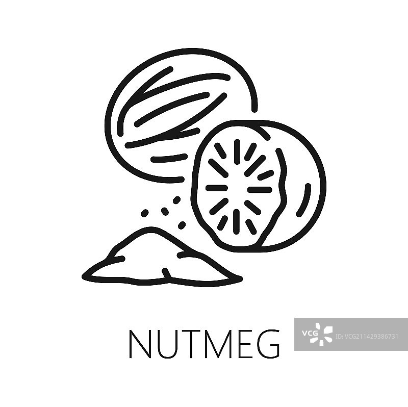 肉豆蔻籽和香料粉末食品小吃图片素材