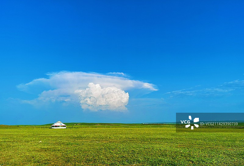 草原情（草原上的蒙古包像天上的白云）图片素材