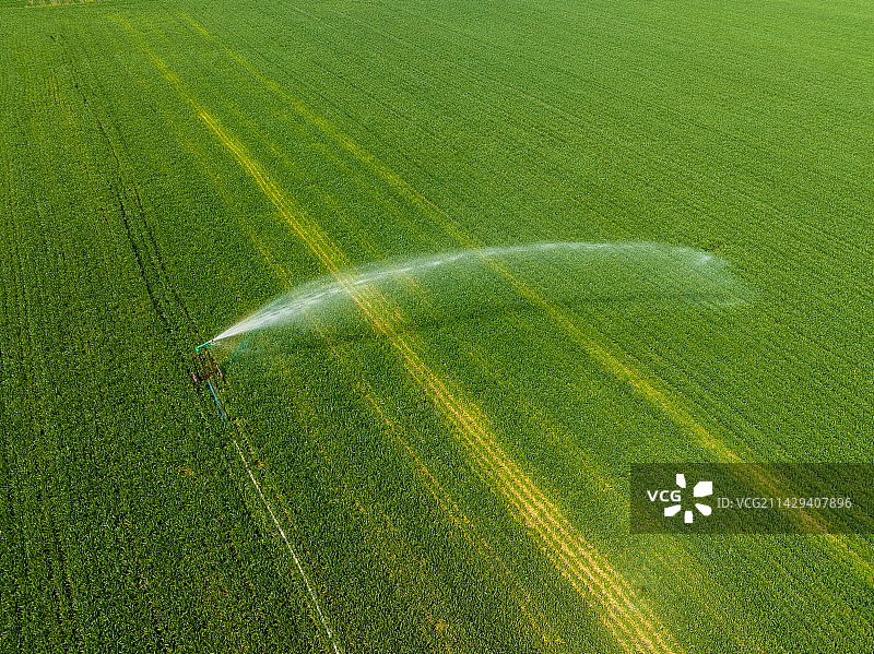 高视角航拍高标准化农田小麦灌溉图片素材