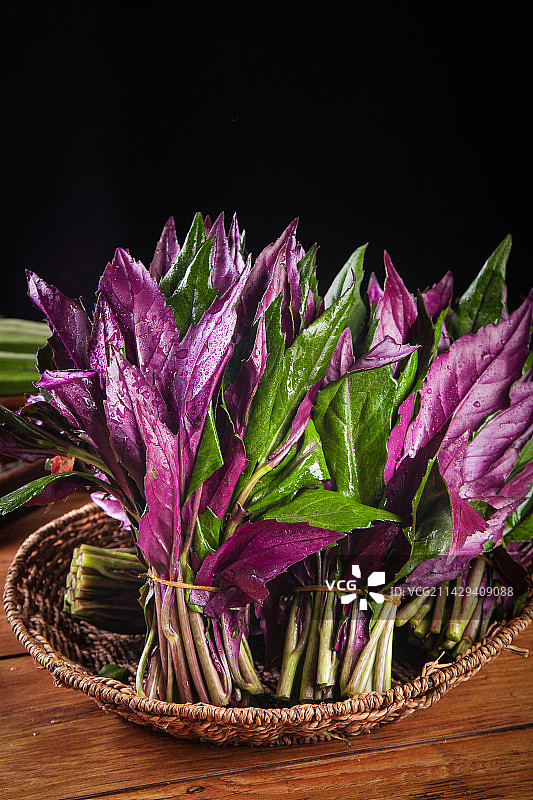 一篮血皮菜图片素材