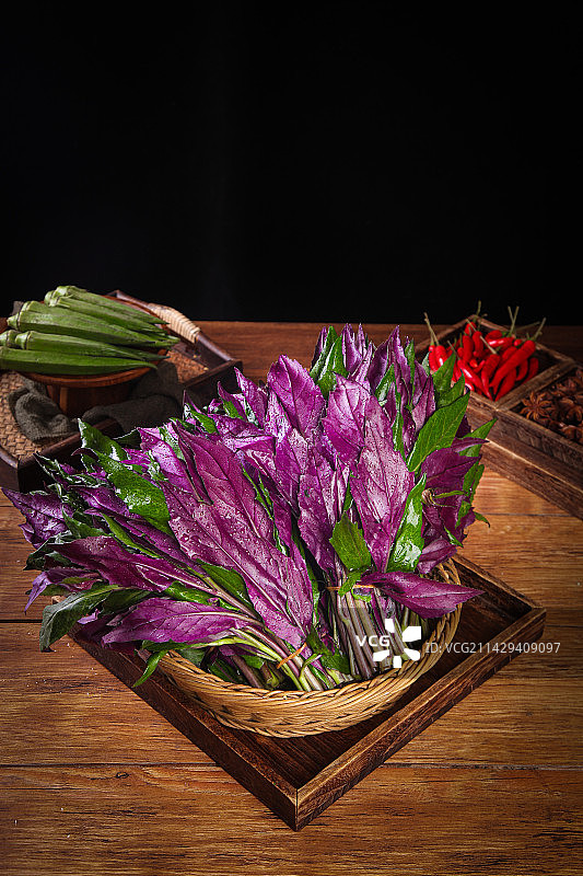 一篮新鲜紫背天葵图片素材