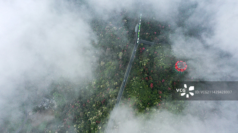 鸟瞰百里杜鹃   这是在贵州省毕节市百里杜鹃景区航拍的一张照片。烟雾缭绕，犹如仙境。图片素材