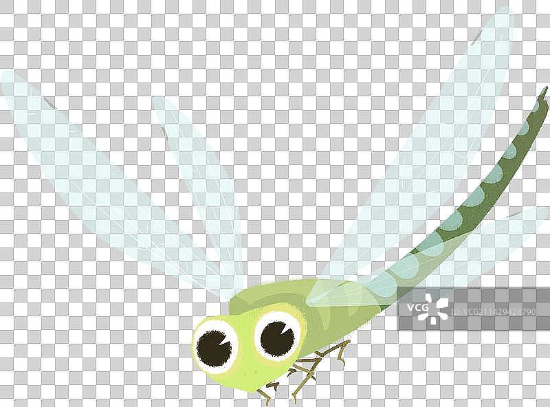 昆虫蜻蜓元素图片素材