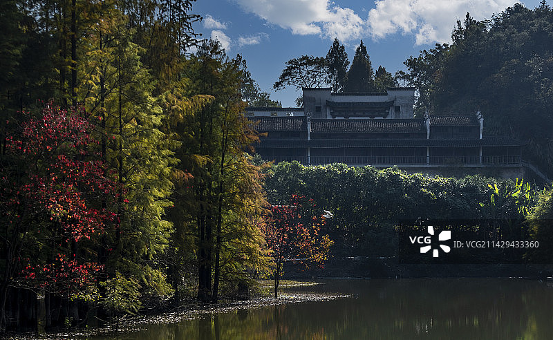 杭州青山湖水上森林郊野公园图片素材