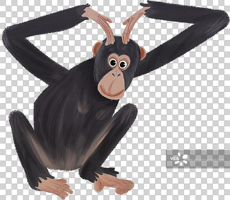 黑猩猩动物元素图片素材