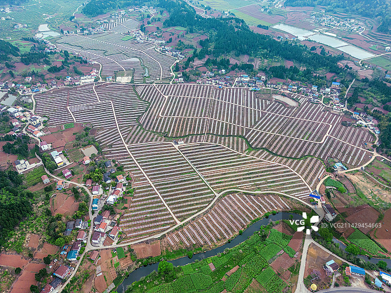 航拍大地的塑料薄膜是粮食生命的安全线图片素材