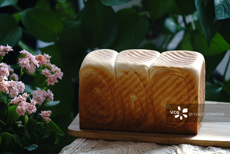 吐司！图片素材