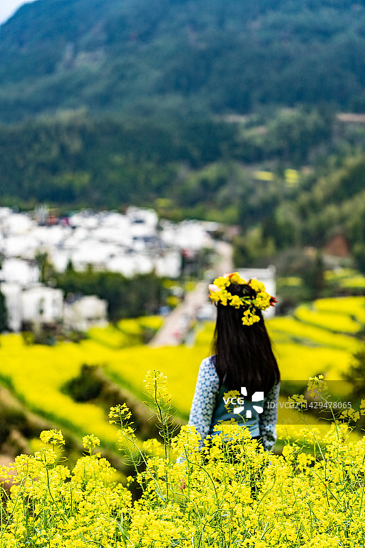 婺源江陵油菜花风光图片素材