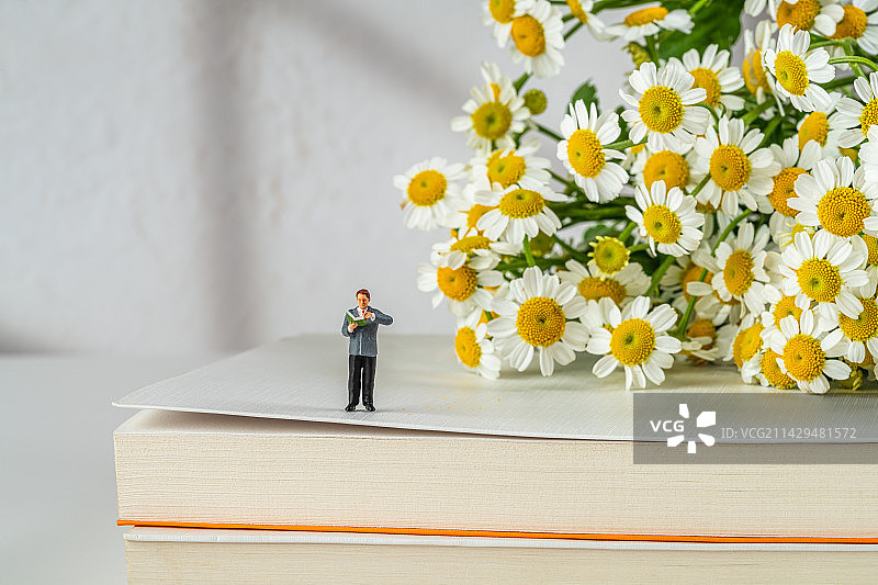 洋甘菊和读书的人创意微缩图片素材