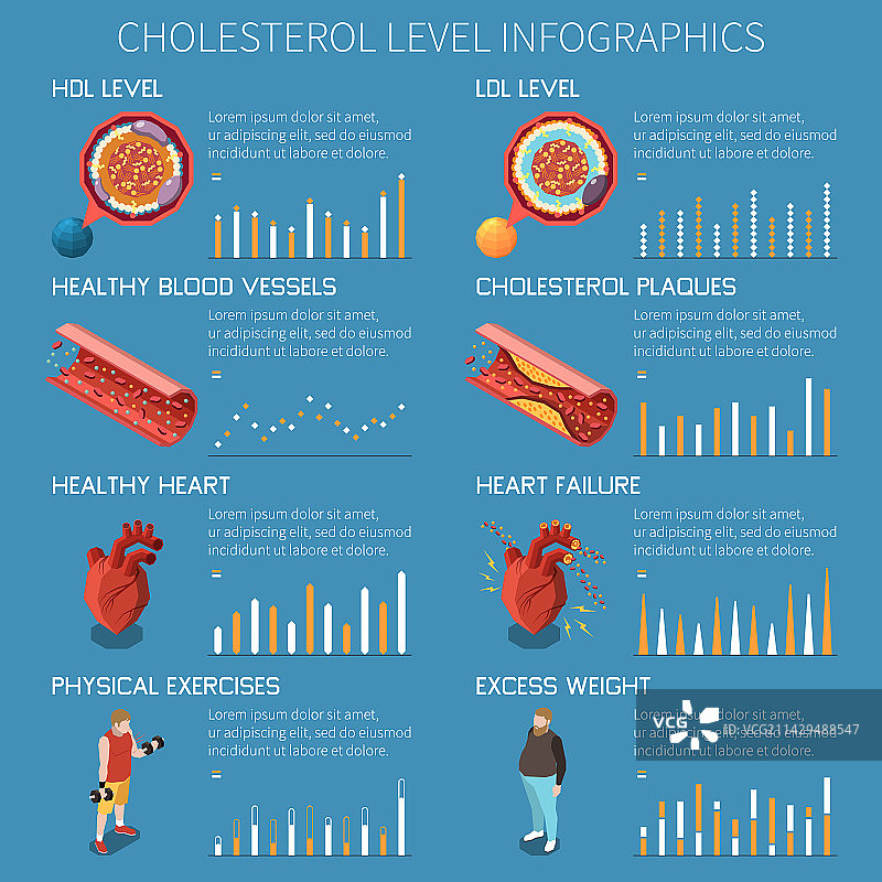 胆固醇等距信息图图片素材
