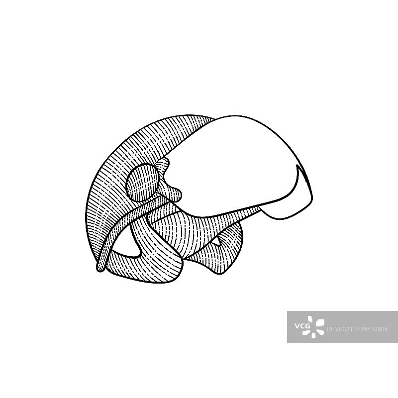 头盔眼镜航空复古艺术设计图片素材