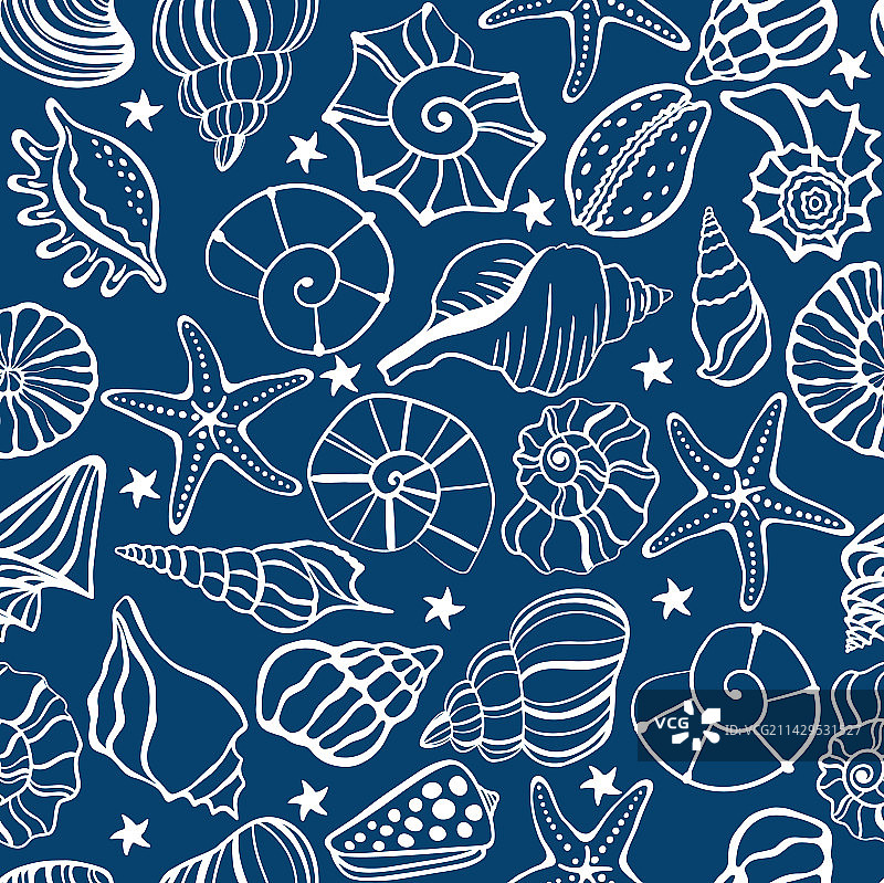 海螺和海星无缝图案图片素材