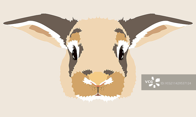 对称斑点兔子动物头像图片素材