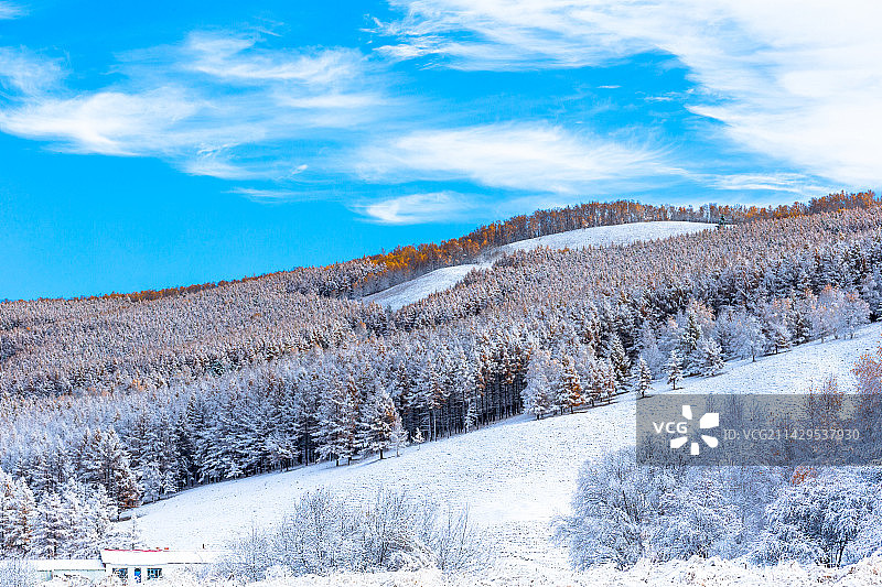 阿尔山雪景图片素材