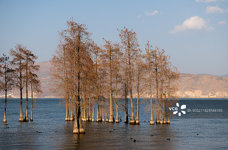 龙龛码头图片素材