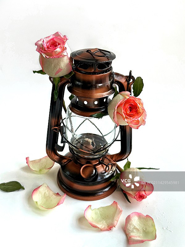 马灯与玫瑰图片素材