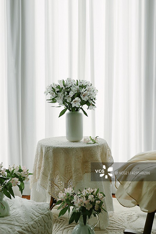 六出花图片素材