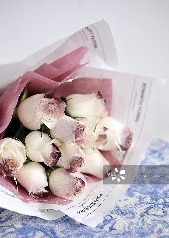 白玫瑰图片素材