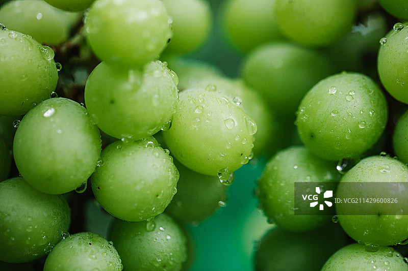 阳光玫瑰葡萄图片素材