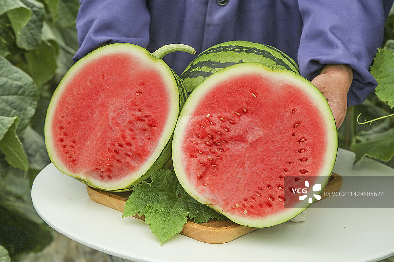 桌子上摆放着麒麟西瓜图片素材