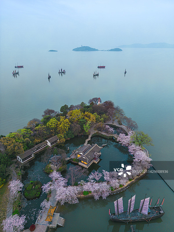无锡鼋头渚樱花盛开美景图片素材