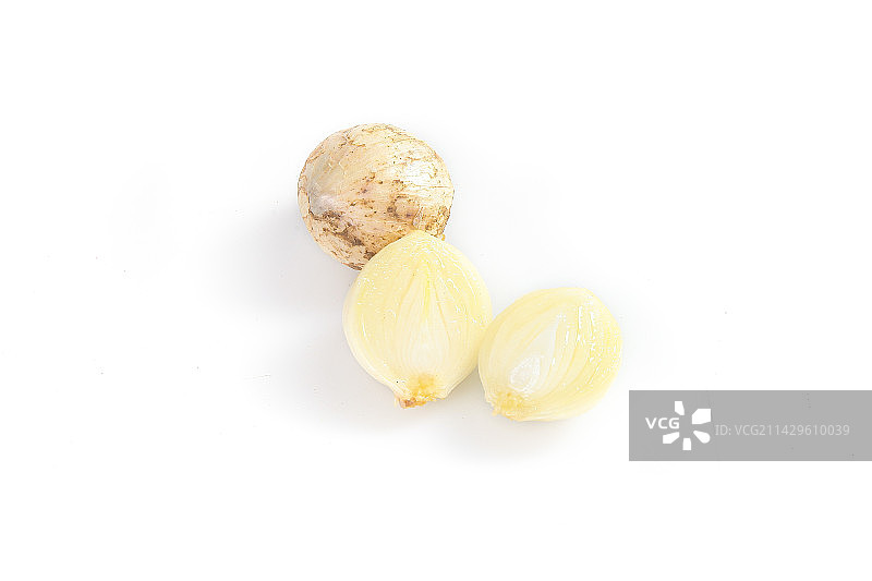 白底上的藠头籽图片素材