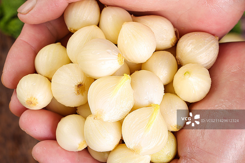 深底上的藠头籽图片素材