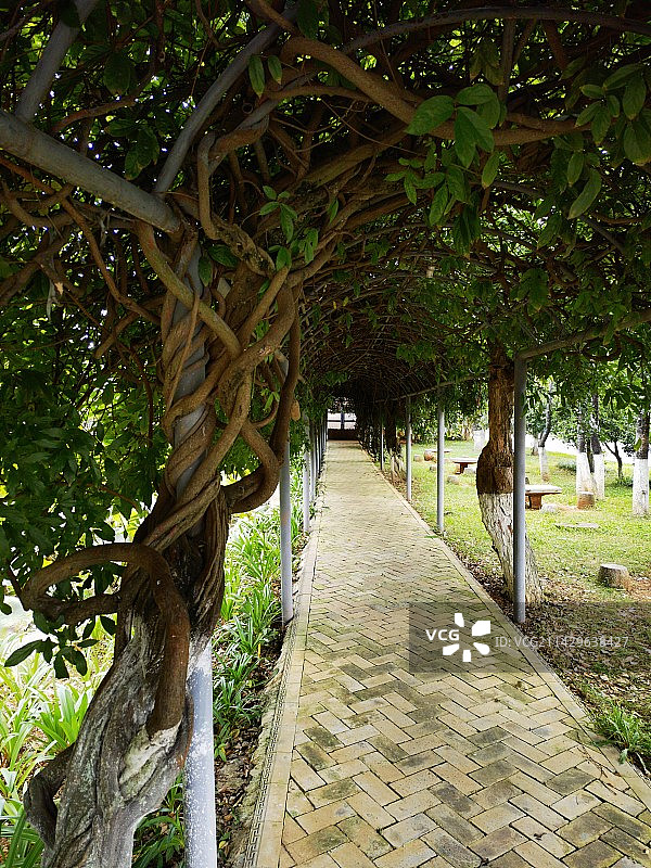 云南省昆明市大观楼南园图片素材