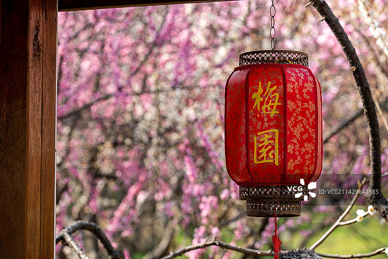江苏省无锡市荣氏梅园梅花和灯笼风景图片素材