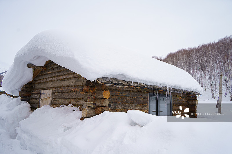 森林边缘大雪覆盖下的独栋小木屋图片素材