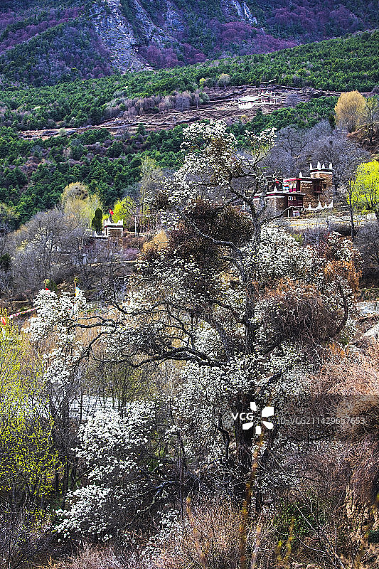 丹巴春色图片素材