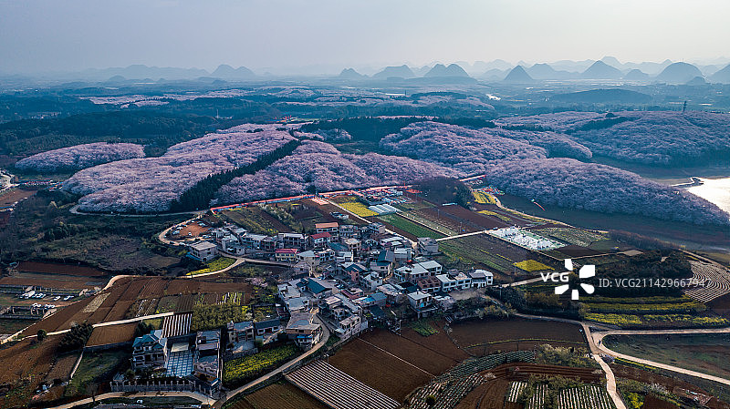 贵州平坝红枫湖春天樱花盛景图片素材