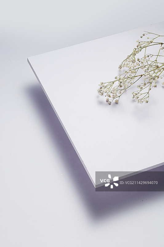 白色方形板上有枝漫天星图片素材