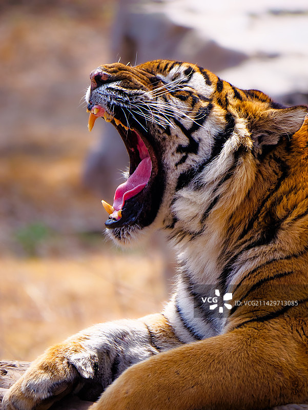 P1043051-12图片素材