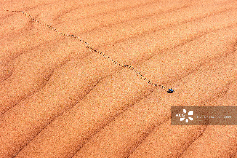 沙漠流浪者图片素材