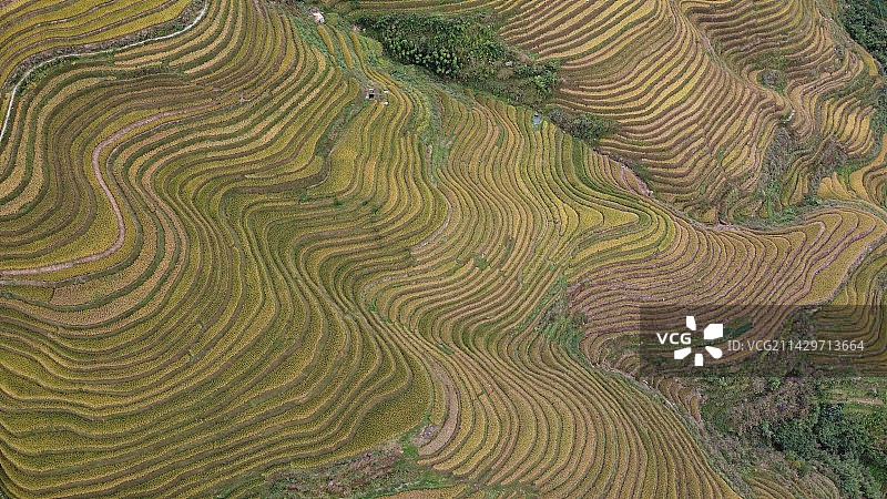 航拍梯田纹理与线条图片素材