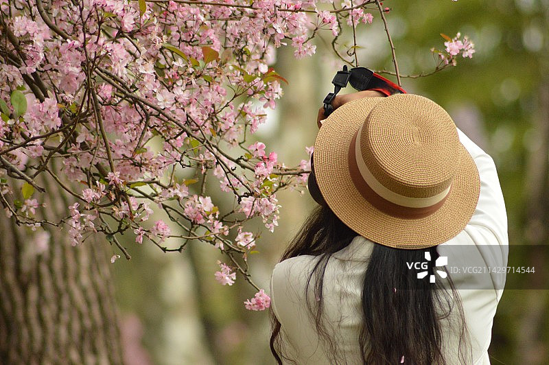 记录春天图片素材