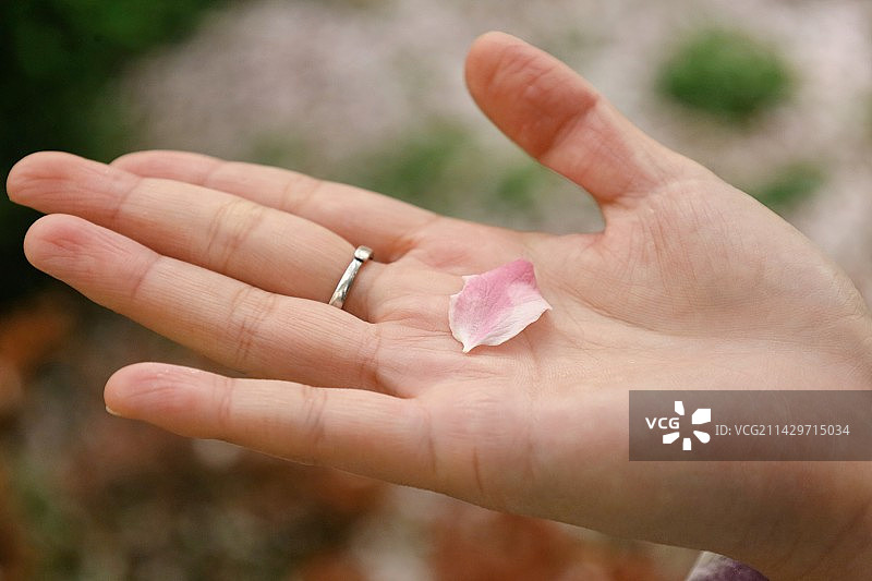 沙尘暴中的五龙潭之春色满园图片素材