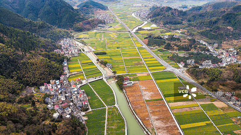 航拍浙江开化村头镇的油菜花图片素材